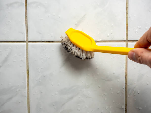 Best Mold Cleaning Services  in Columbus Junction, IA