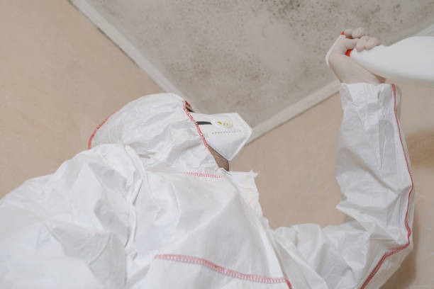 Best Commercial Mold Removal  in Columbus Junction, IA